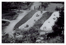 Japan, Miyazu, Amanohashidate, Mount Nariai Park Zen Garden, Vintage Print