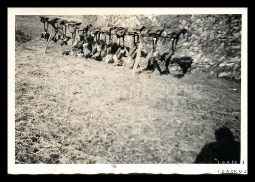 Photo travail 4 - photo,, travail.