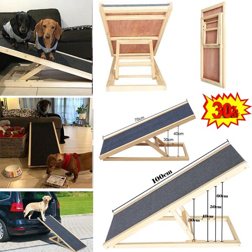 Bois pet pliable - pliable, chien