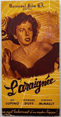 Araignee ida lupino - l'araignee,