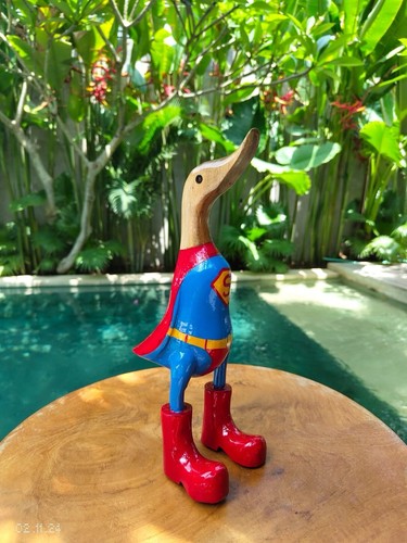 Bali wood canard - canard, bois