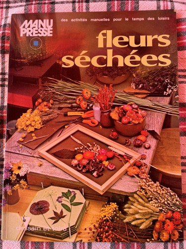 Fleurs séchées moyna - séchées,