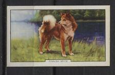 Dogs Collectable Gallaher Cigarette Cards 2ND SERIES - Pick up your Card