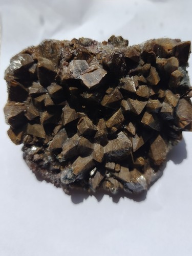 Calcite dent chien santa - de,