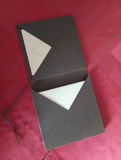 LOUIS VUITTON Pochette