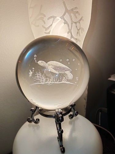 Boule verre gravée - en, tortue