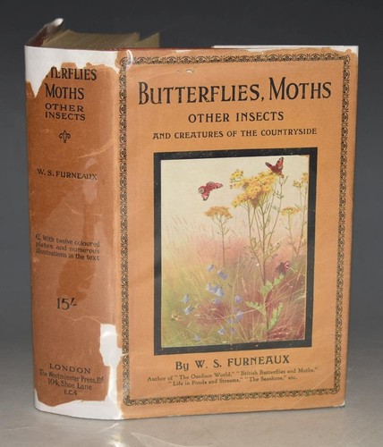 Furneaux butterflies moths - furneaux,