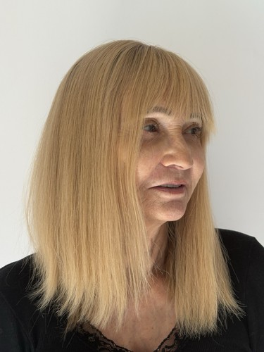 Vends topper cheveux blonds - topper,