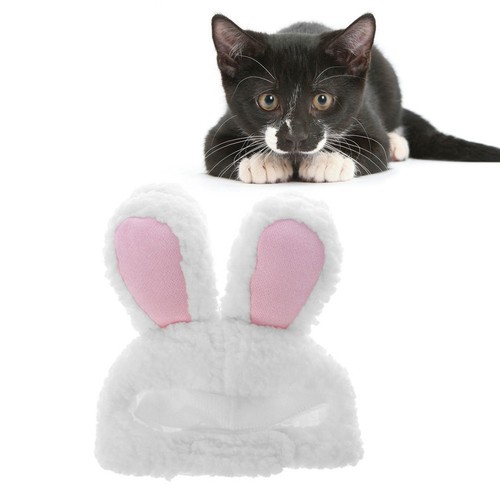 Deguisement pour chat - pour,