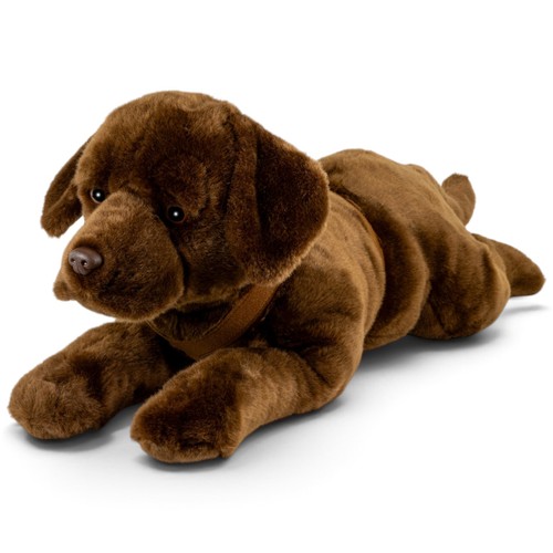 Carl dick labrador - dick, retriever