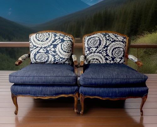 Louis style bergere vintage - style,