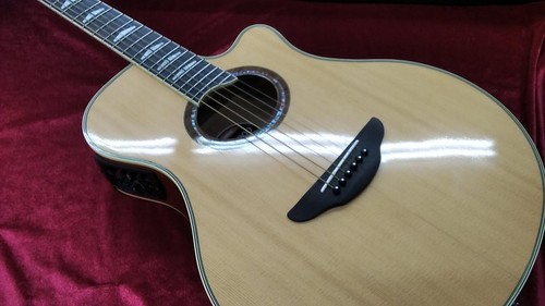 Guitare électrique acoustique