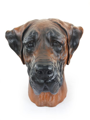 Dogue allemand harzurne - dogue,