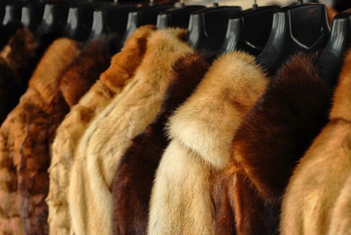 Tariffs included manteau - tariffs, en