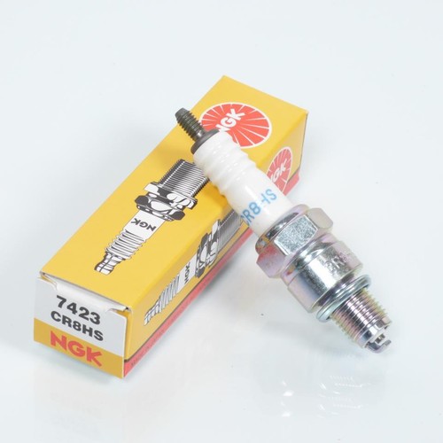 Bougie allumage ngk - bougie, pour