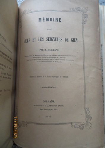 Orleanais pinsseau - –,