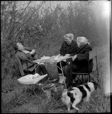 Portrait femmes assises table