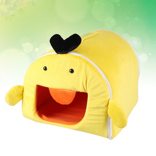 Hiver chaud canard - , cage