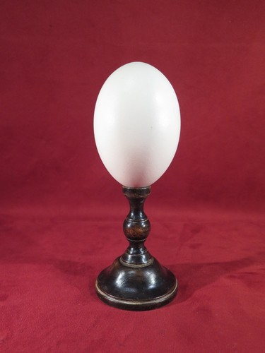 Oeuf autruche monte sur - d'autruche, pied