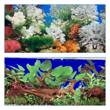 poster fond aquarium reversible eau de mer /douce/plantes 40 x 30 cm  