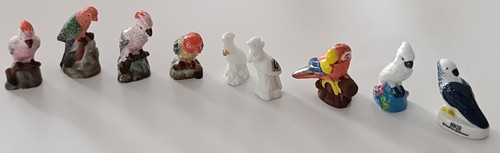 Fèves oiseaux perroquet - 9,