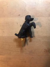 Chien Caniche Noir pour