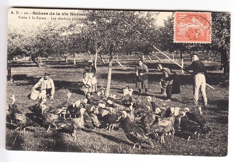 Cpa normandie visite a - ,