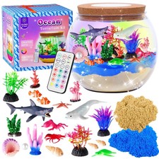 Gifmore Ocean Terrarium Kit