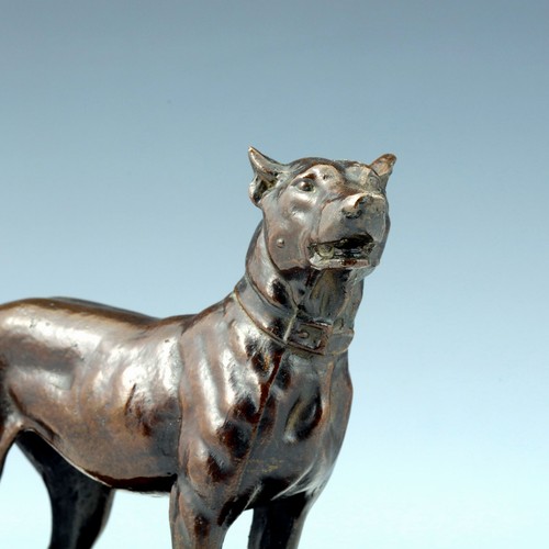 Expressive bronze dog - bronze, 1850