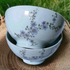 2 Bols Anciens Porcelaine De