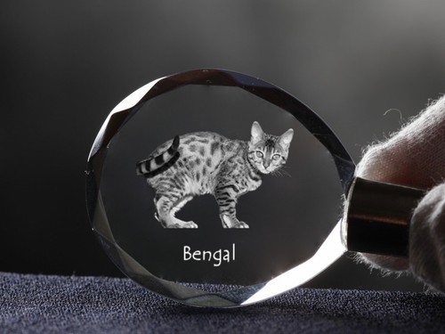 Bengal porte clés - porte-clés, en