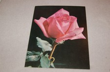 ANCIENNE PUBLICITÉ PHARMACEUTIQUE  HYDROSARPAN FORT " les rosiers" Rendez vous