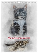 Chats Maine Coon (Calendrier