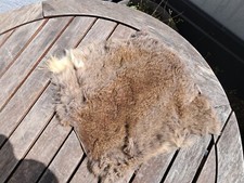 Peau de lapin #43