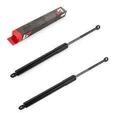 2X Gaz À Piston Amortisseur
