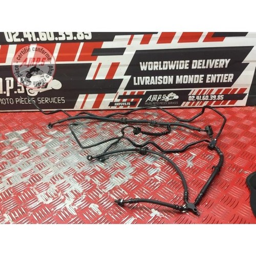 Kit durite frein honda cbr - durite, frein honda