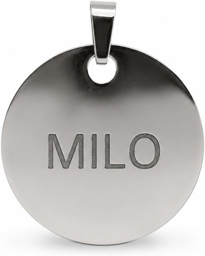 Médaille ronde acier - médaille,