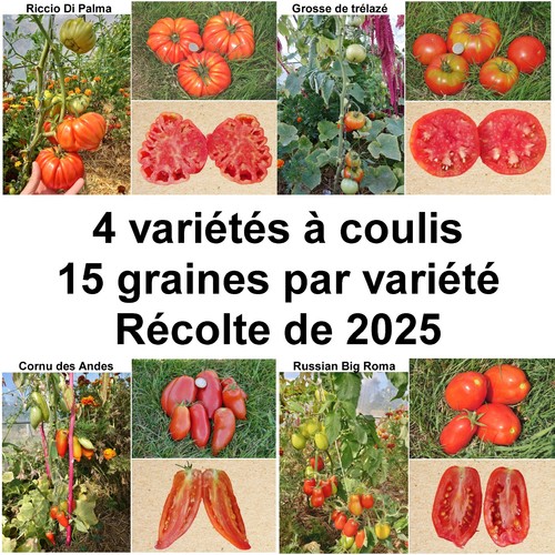 Graines 4 variétés - 4,