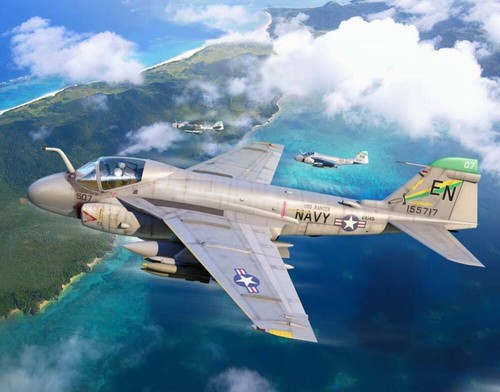 Trumpeter intruder 1 - a-6e,