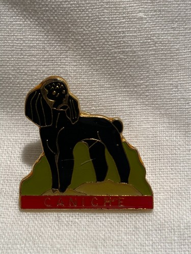 Pin chien caniche - chien,