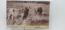 CPA CARTE POSTALE CAMARGUE