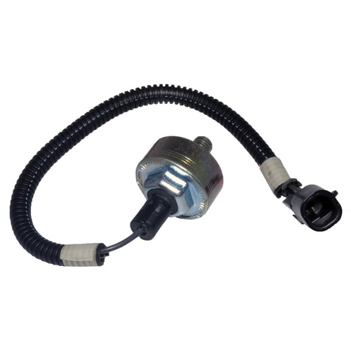 Delphi ignition knock - delphi,