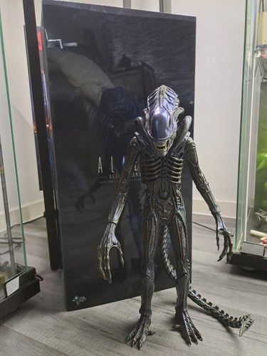 Hot toys alien warrior - 1/6,