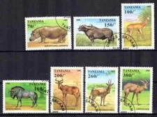 Animaux faune sauvage Tanzanie