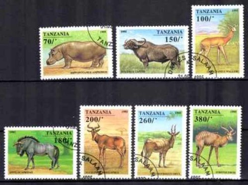 Animaux faune sauvage - , tanzanie