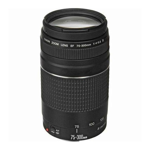 Canon 300mm 4 5 - canon, 75-300mm