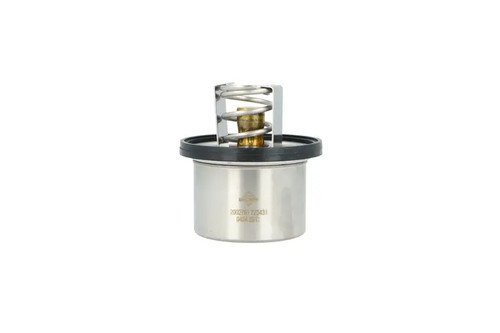 Thermostat sans boîtier