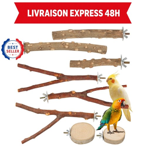 Lot perchoirs pour - lot, 8