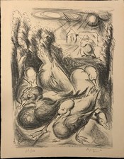 ESPINOUZE HENRI  CANARDS ET