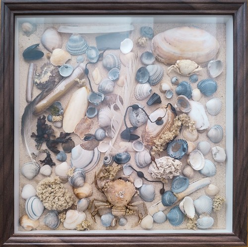 Cadre artisanal marin - , –